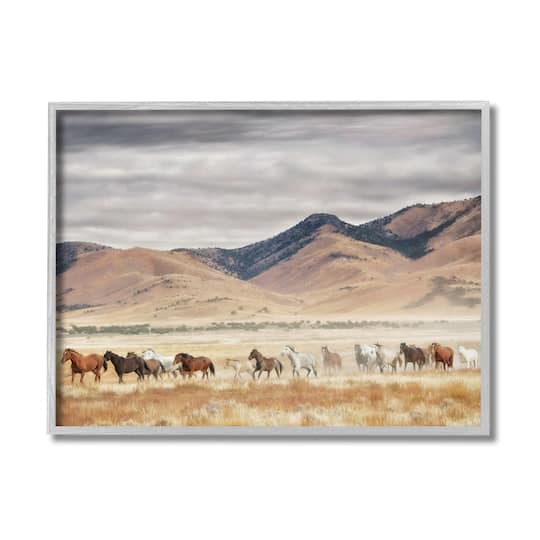 Stupell Industries Wild Horses Roaming Across Western Landscape in Frame Wall Art